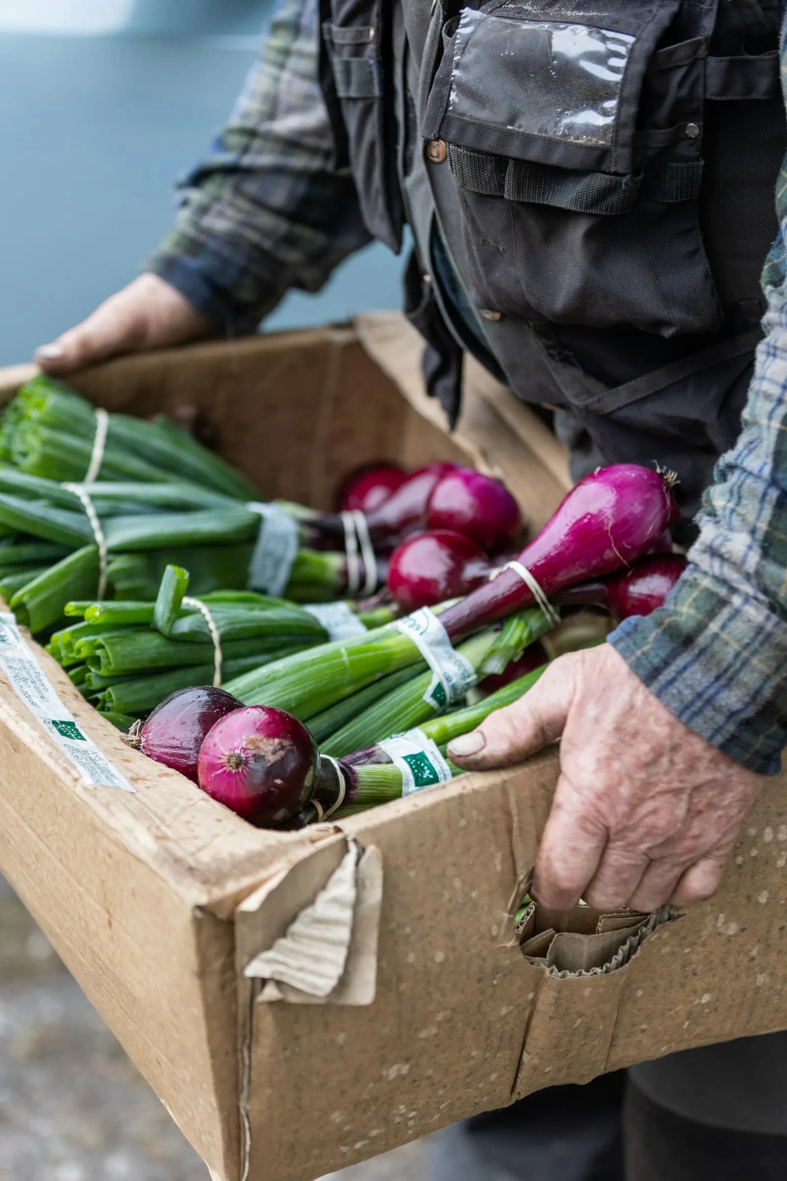 Fournisseur qui porte un carton de légumes frais